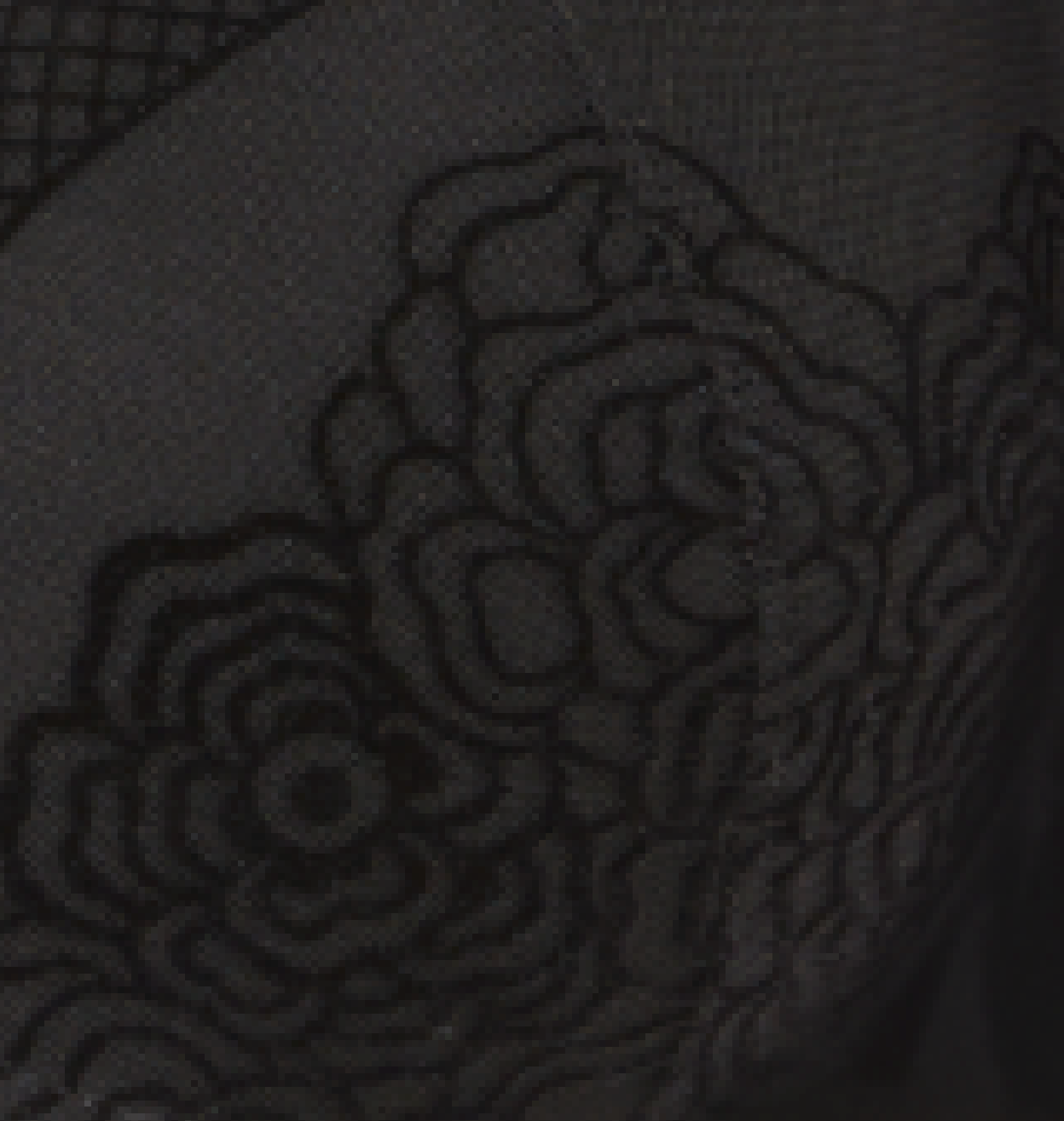Close up of black mesh bra with velvet floral detail 