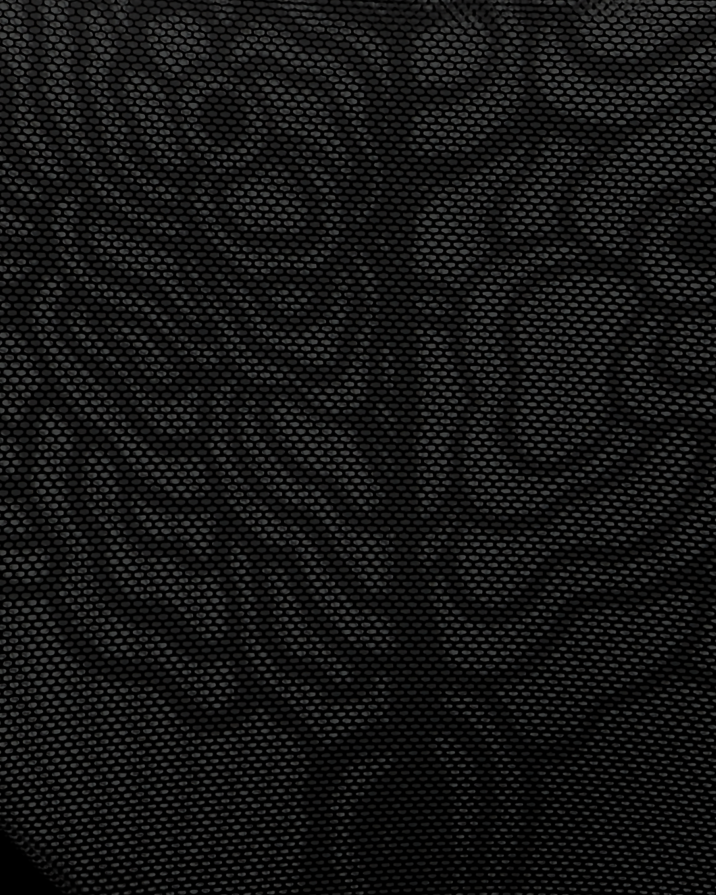 Close up of the black mesh with floral peony design on the brief 